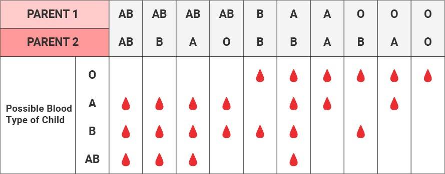 Child parent pairings blood chart.