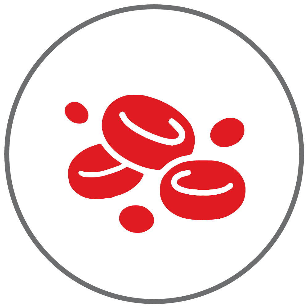 Red Blood cells icon